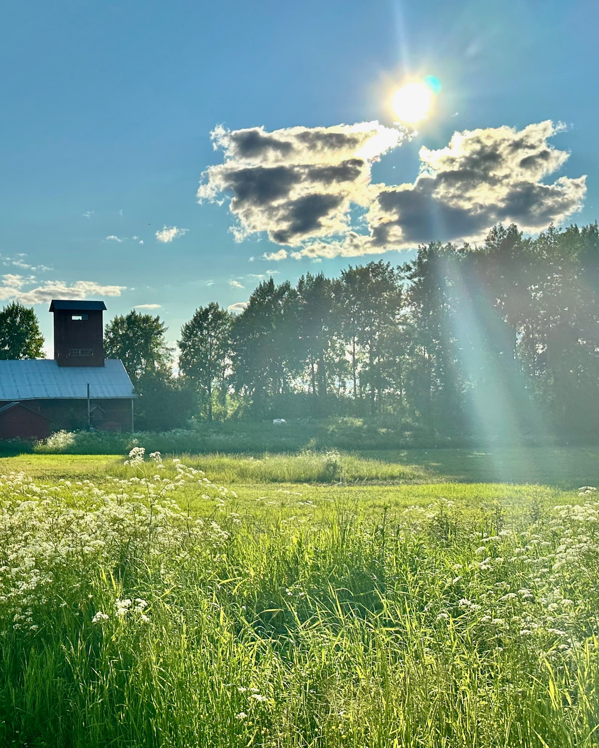 Sunrise over Ali-Härri fields in Kuusjoki
